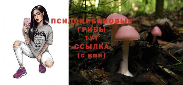 МДМА Арсеньев