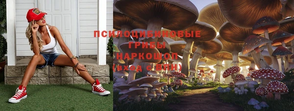 бошки Армянск