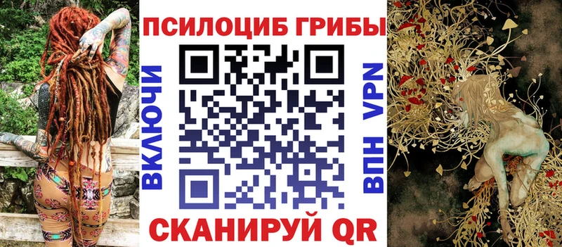 где можно купить наркотик  Борисоглебск  MEGA сайт  Псилоцибиновые грибы Cubensis 